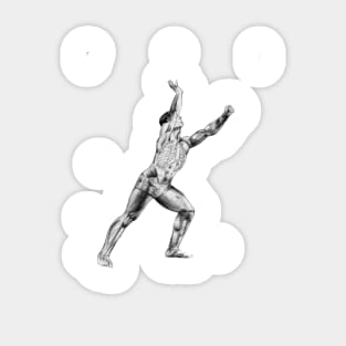 Acrobat 3 Sticker